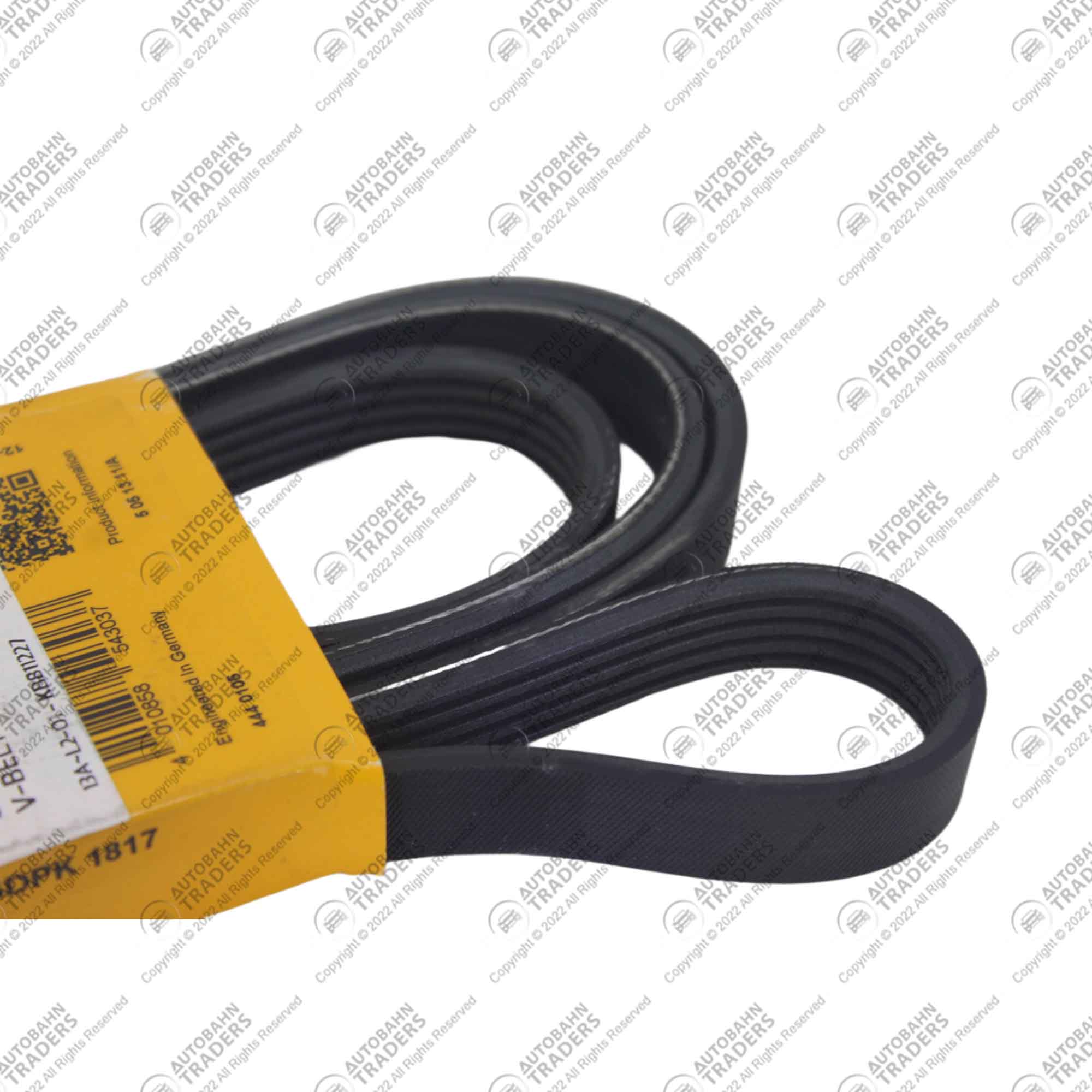 V-Ribbed Belts - Image 3