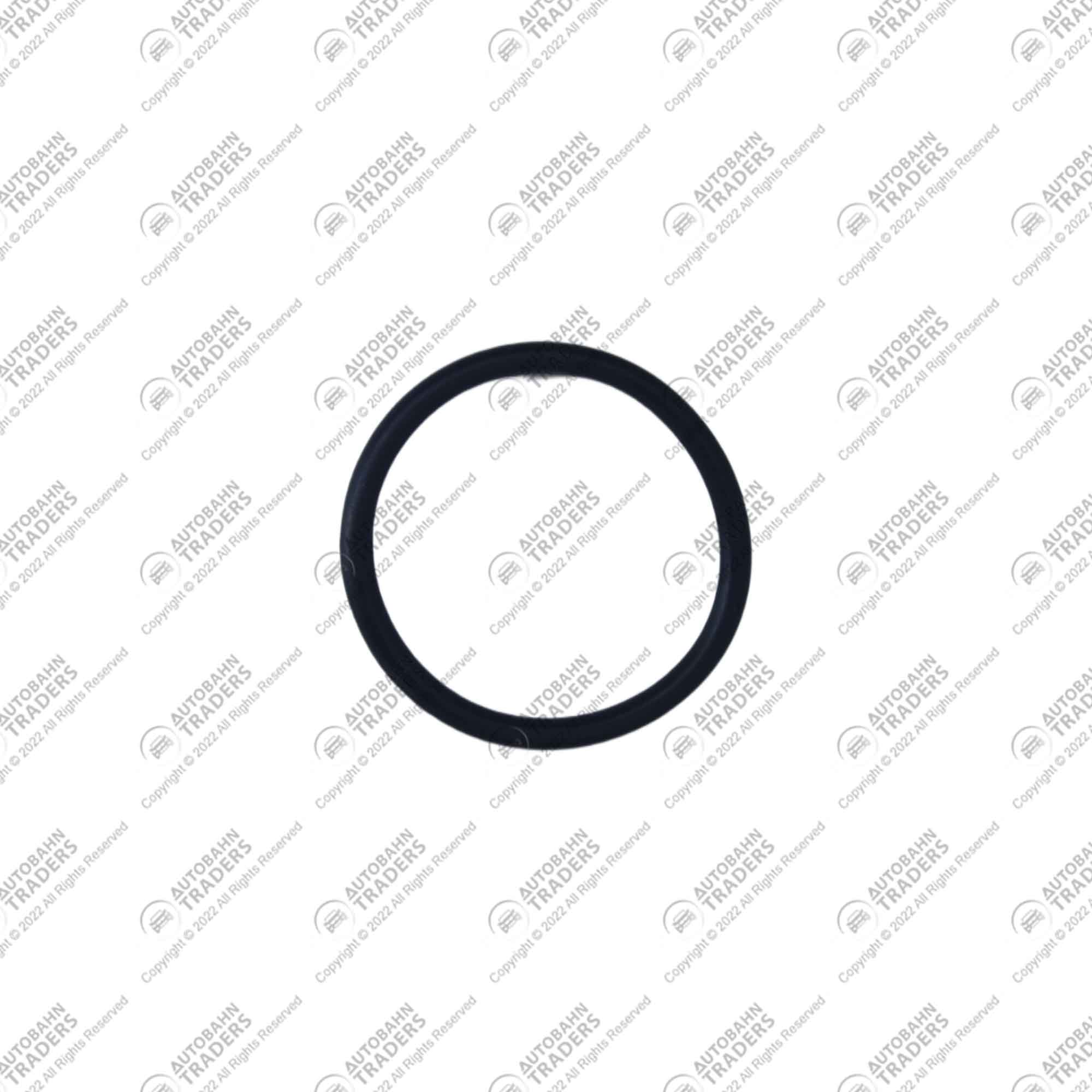 O-Ring