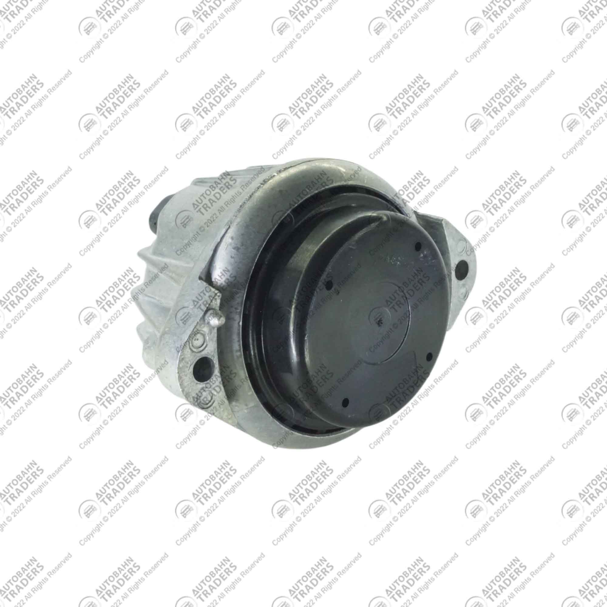 Engine Mount - LH - Image 11