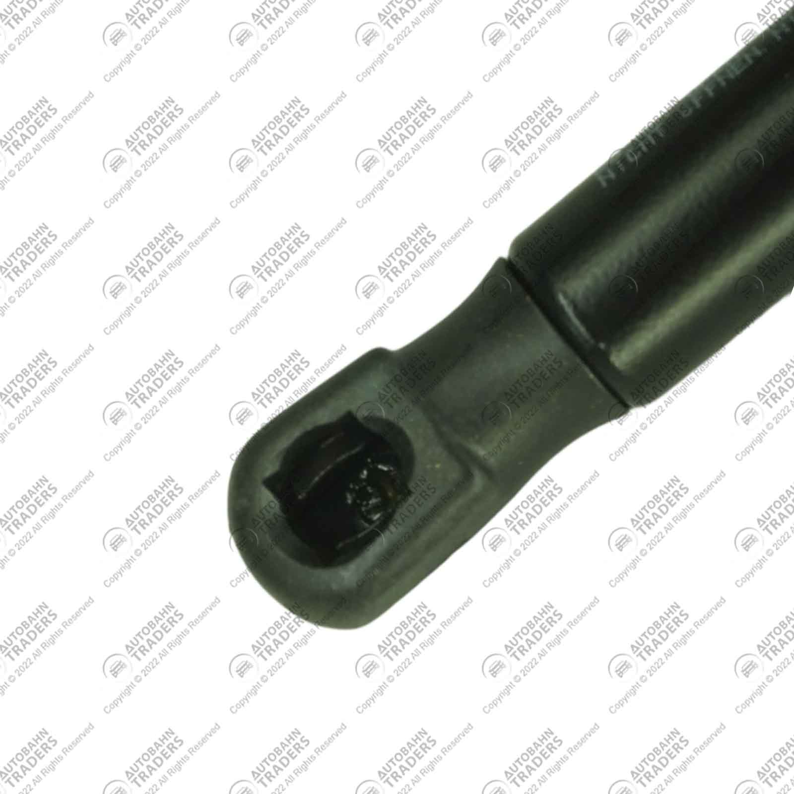 Bonnet Strut - Image 5