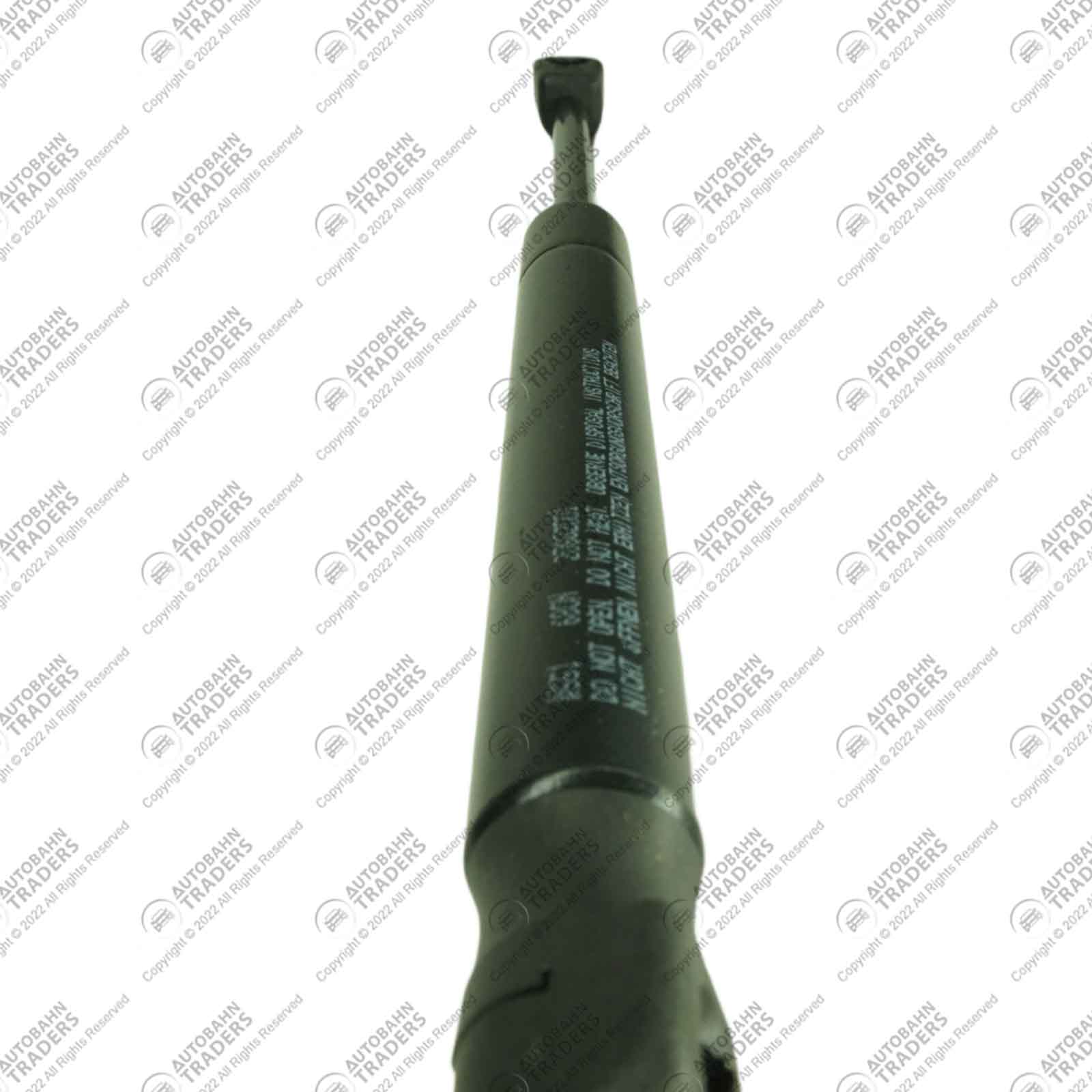 Bonnet Strut - Image 3
