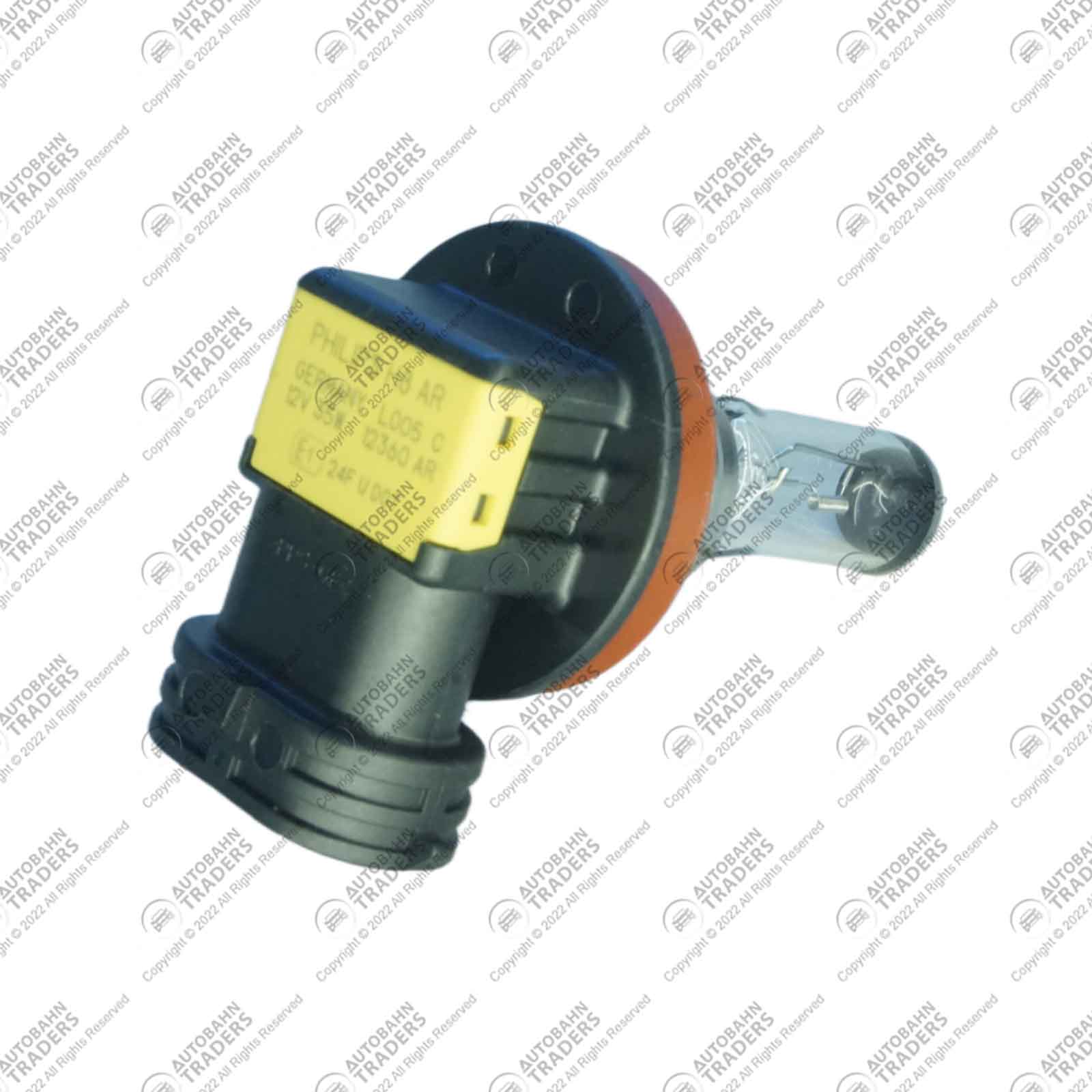 Bulb - Image 3