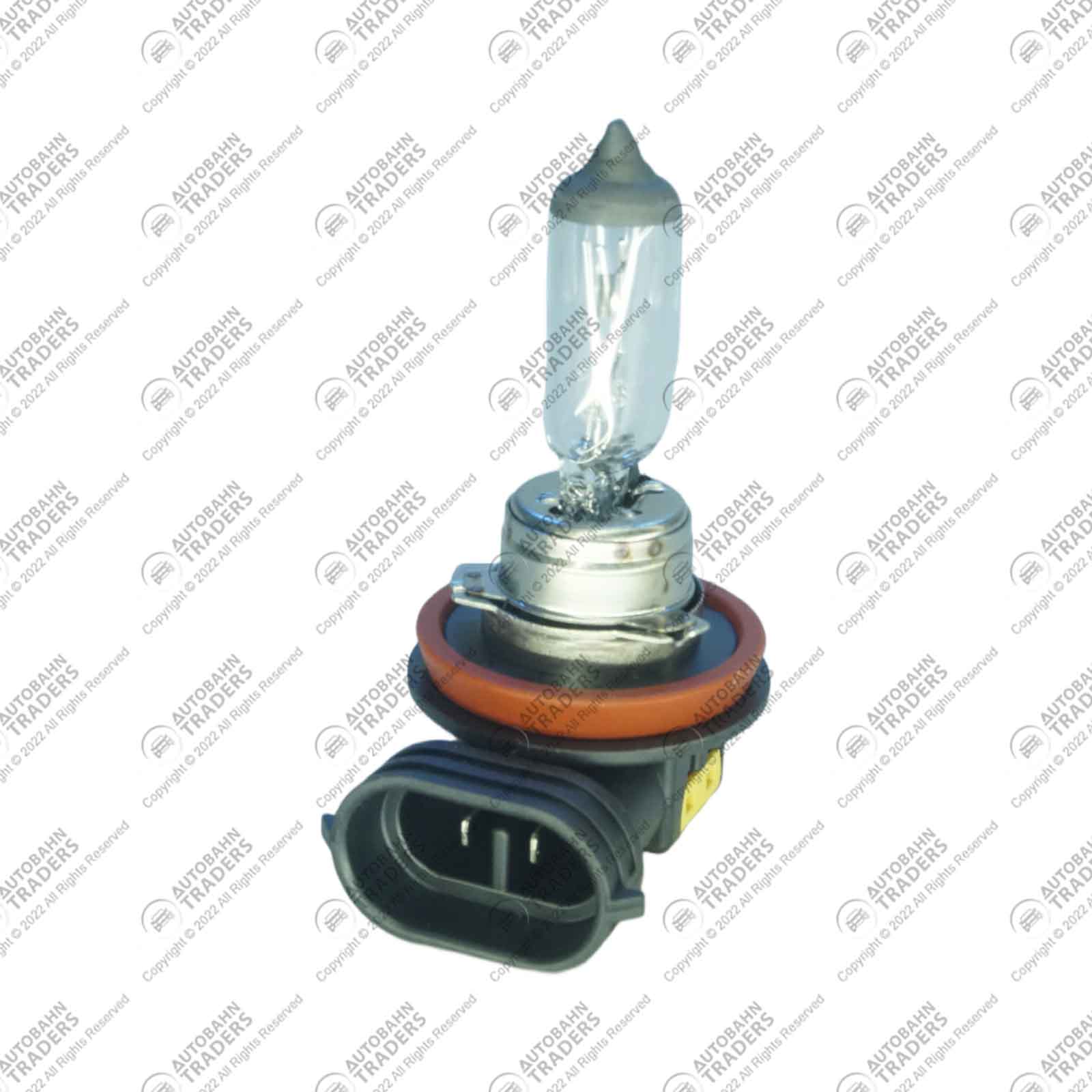 Bulb - Image 2