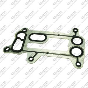 Oil Cooler Gasket