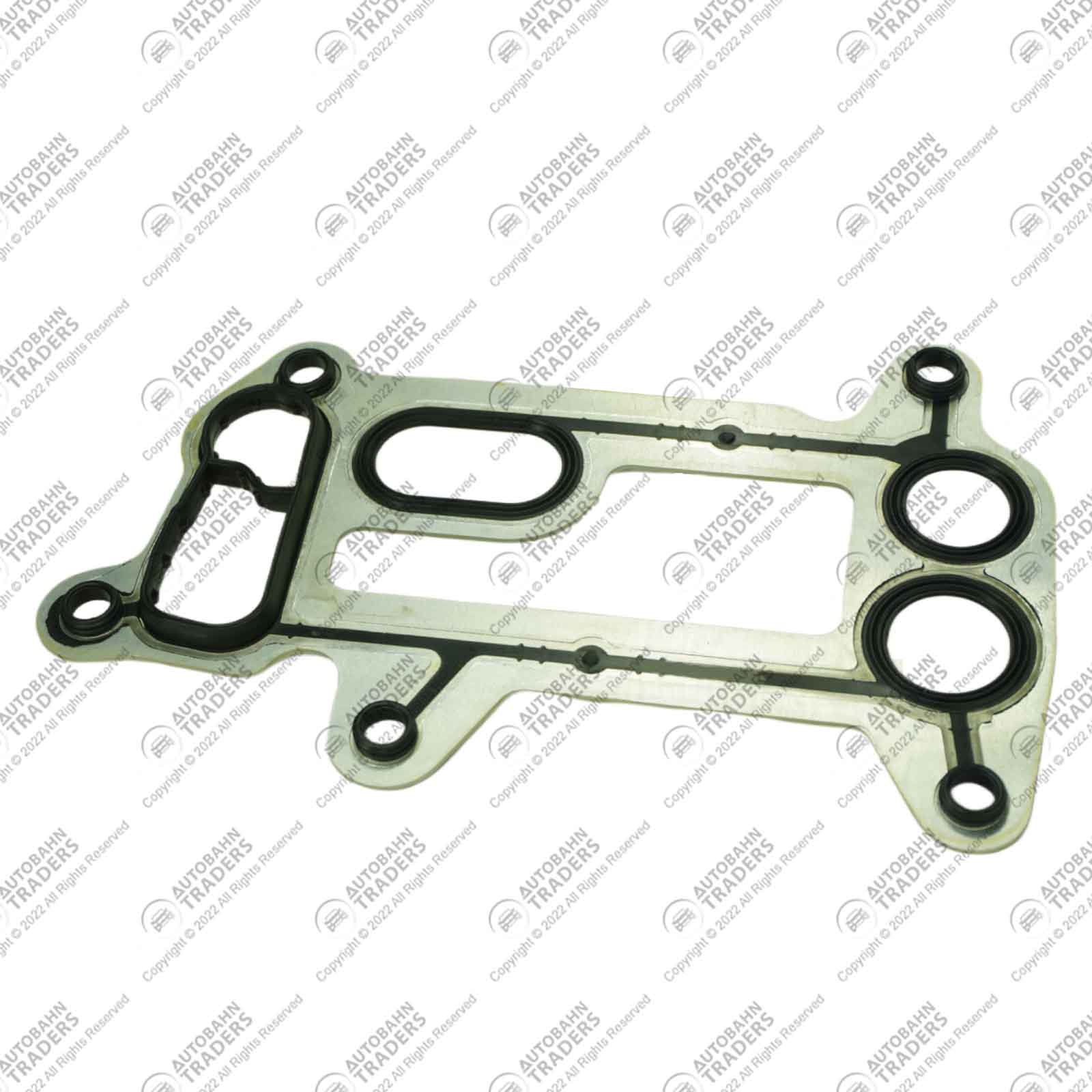 Oil Cooler Gasket