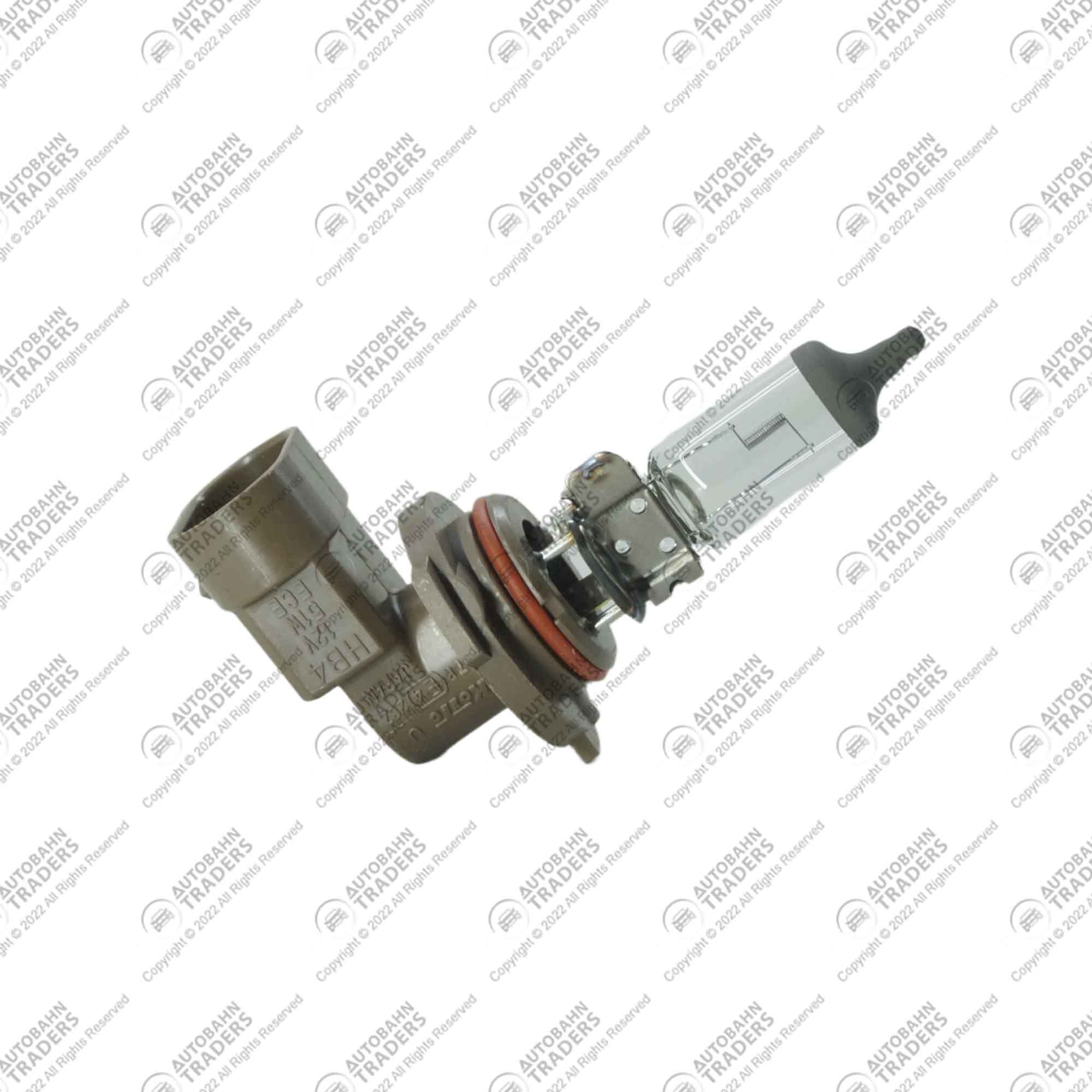 Fog Bulb - Image 2