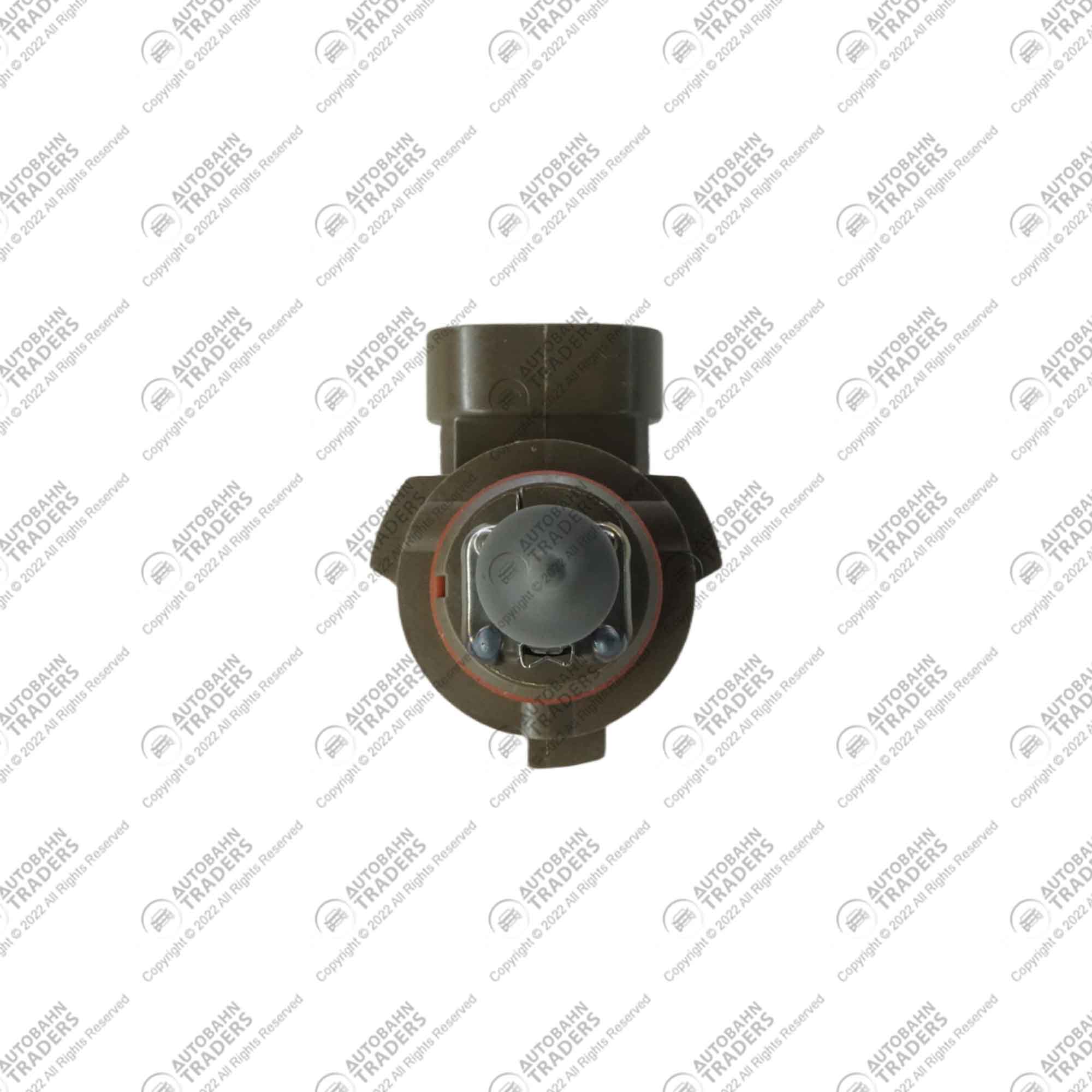 Fog Bulb - Image 4