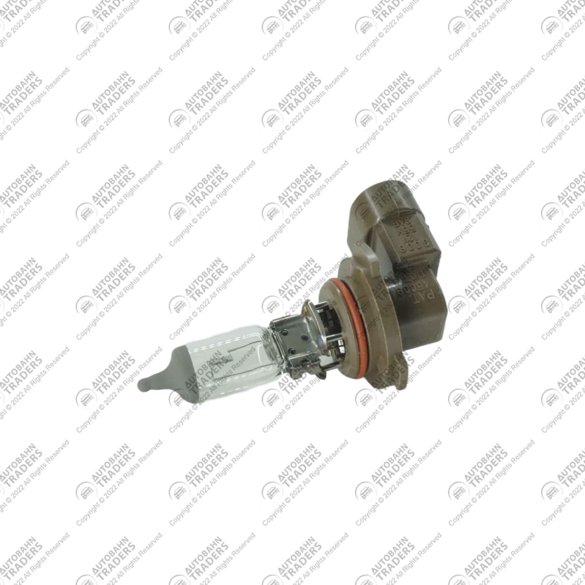 Fog Bulb - Image 3