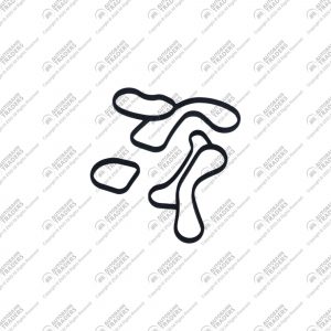 Gasket Set