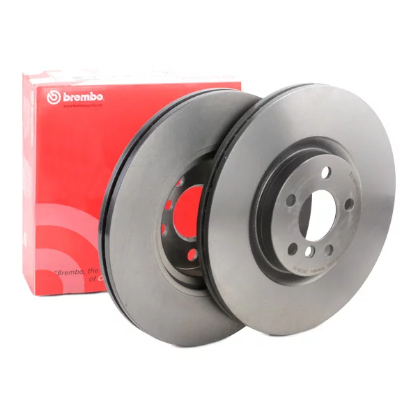 Front Brake Rotors