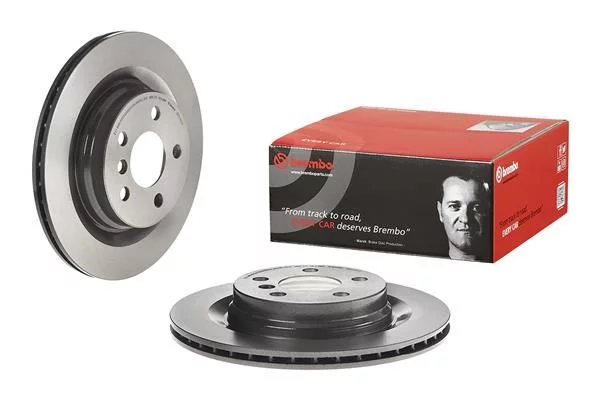 Rear Brake Rotors